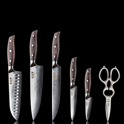 Gudaro - SET 5x kuhinjskih noževa SHIRO od damaškog čelika + stalak za noževe i škare za perad