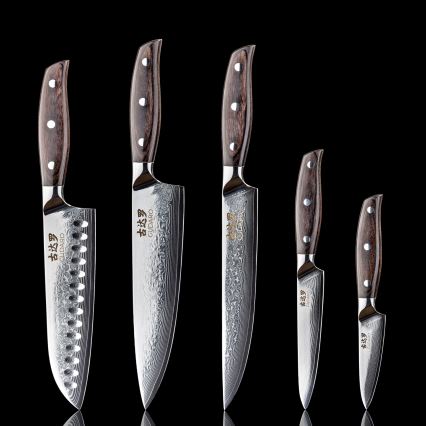Gudaro - SET od 5 kuhinjskih noževa od damaskog čelika SHIRO + magnetski držač