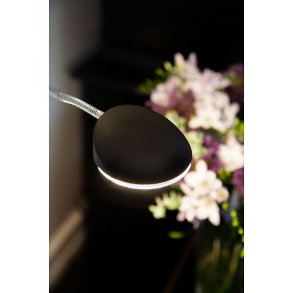 Halo Design 716067 - LED podna lampa VEGAS s mogućnošću prigušivanja LED/20W/230V + LED/5W crna/sjajni krom
