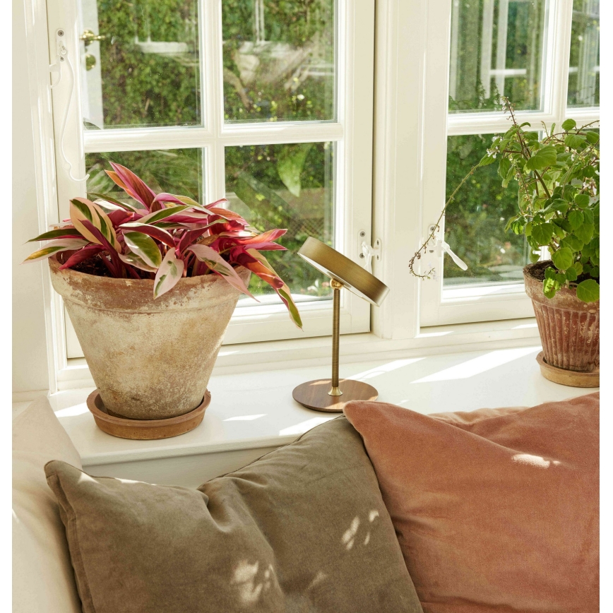 Halo Design 745784 - LED stolna lampa ON THE MOVE, s mogućnošću prigušivanja, punjiva, LED/2,5W/4000 mAh, mesing/drvo