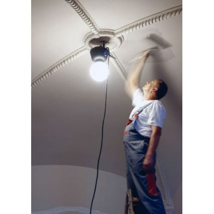 Helios 306-WLG223 - LED vanjsko tehničko osvjetljenje WORK GLOBE 2 LED/23W/230V IP44