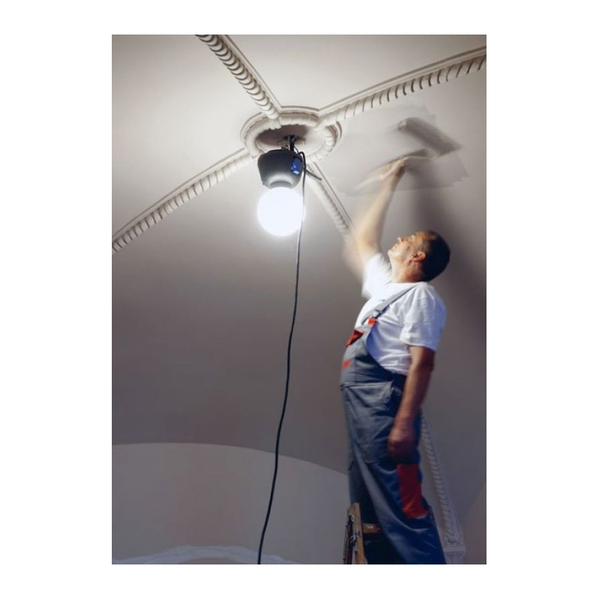 Helios 306-WLG223 - LED vanjsko tehničko osvjetljenje WORK GLOBE 2 LED/23W/230V IP44