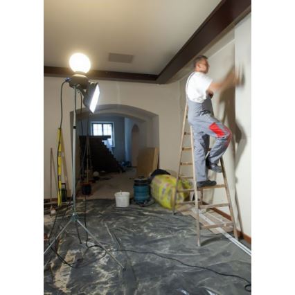 Helios 306-WLG223 - LED vanjsko tehničko osvjetljenje WORK GLOBE 2 LED/23W/230V IP44