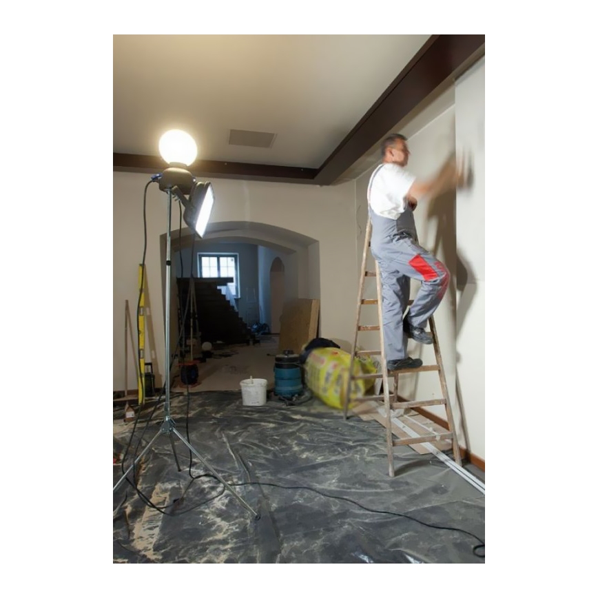 Helios 306-WLG223 - LED vanjsko tehničko osvjetljenje WORK GLOBE 2 LED/23W/230V IP44