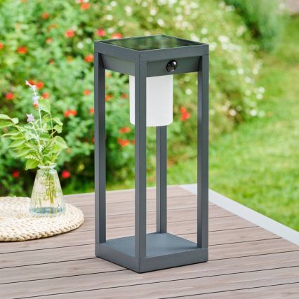 Hesperide - LED solarna svjetiljka s senzorom pokreta i sumraka PIKY LED/3,7V 2600 mAh 40 cm IP65 antracit