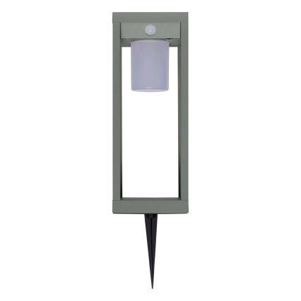 Hesperide - LED solarna svjetiljka s senzором pokreta i sumraka PIKY LED/3,7V 2600 mAh 40 cm IP65 zelena