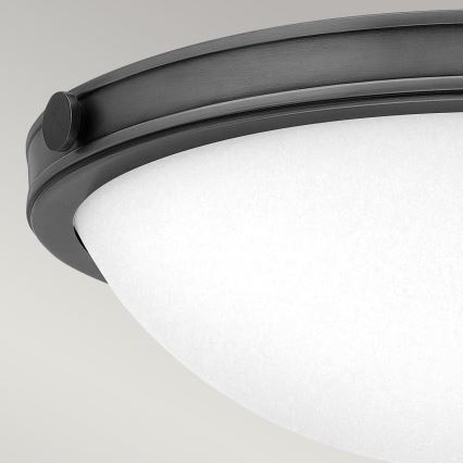 Hinkley - Stropna svjetiljka COLLIER 2xE27/40W/230V Ø 34,6 cm crna