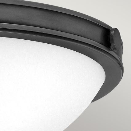 Hinkley - Stropna svjetiljka COLLIER 2xE27/40W/230V Ø 34,6 cm crna