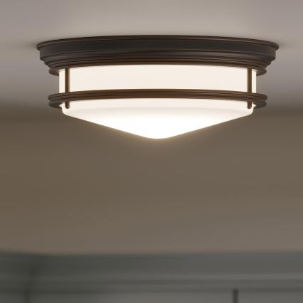 Hinkley - Kupaonsko stropno svjetlo HADLEY 3xE27/40W/230V IP44 brončano