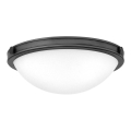 Hinkley - Stropna svjetiljka COLLIER 2xE27/40W/230V Ø 34,6 cm crna