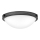 Hinkley - Stropna svjetiljka COLLIER 2xE27/40W/230V Ø 34,6 cm crna