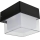 HÖFFTECH - LED Vanjska zidna svjetiljka LED/4W/230V IP65