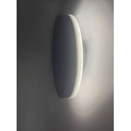 HÖFFTECH - LED vanjsko zidno svjetlo LED/10W/230V okruglo IP65