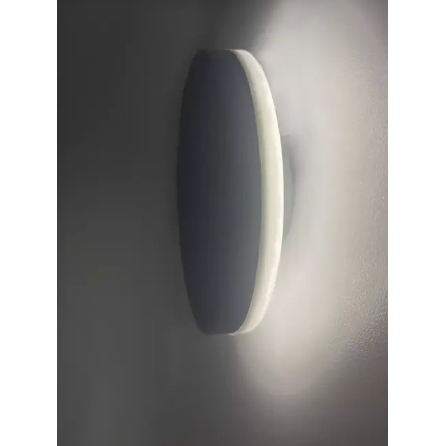 HÖFFTECH - LED vanjsko zidno svjetlo LED/10W/230V okruglo IP65