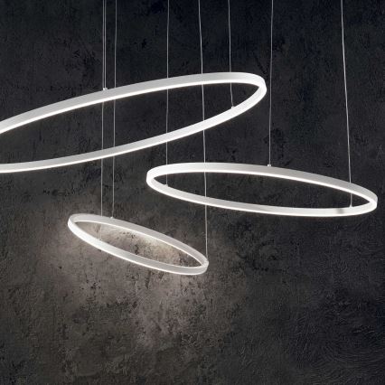 Ideal Lux - ORACLE SLIM LED luster na sajli, 29W/230V, 2700K, CRI 90, promjer 50 cm, bijela