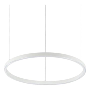 Ideal Lux - LED luster na sajli ORACLE SLIM LED/29W/230V 4000K CRI 90, promjer 50 cm, bijela