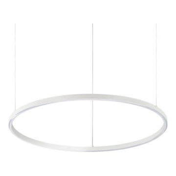 Ideal Lux - LED luster na sajli ORACLE SLIM LED/37W/230V 2700K CRI 90 prom. 70 cm bijela