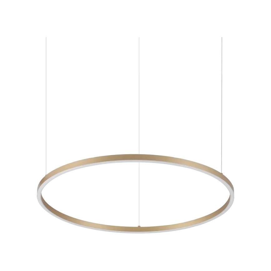 Ideal Lux - LED luster na sajli ORACLE SLIM LED/37W/230V 3000K CRI 90 Ø 70 cm zlatna