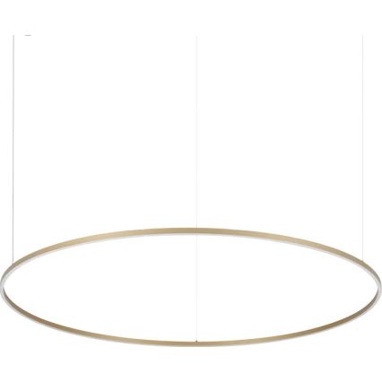 Ideal Lux - LED luster na sajli ORACLE SLIM LED/81W/230V 3000K CRI 90, promjer 150 cm, zlatni