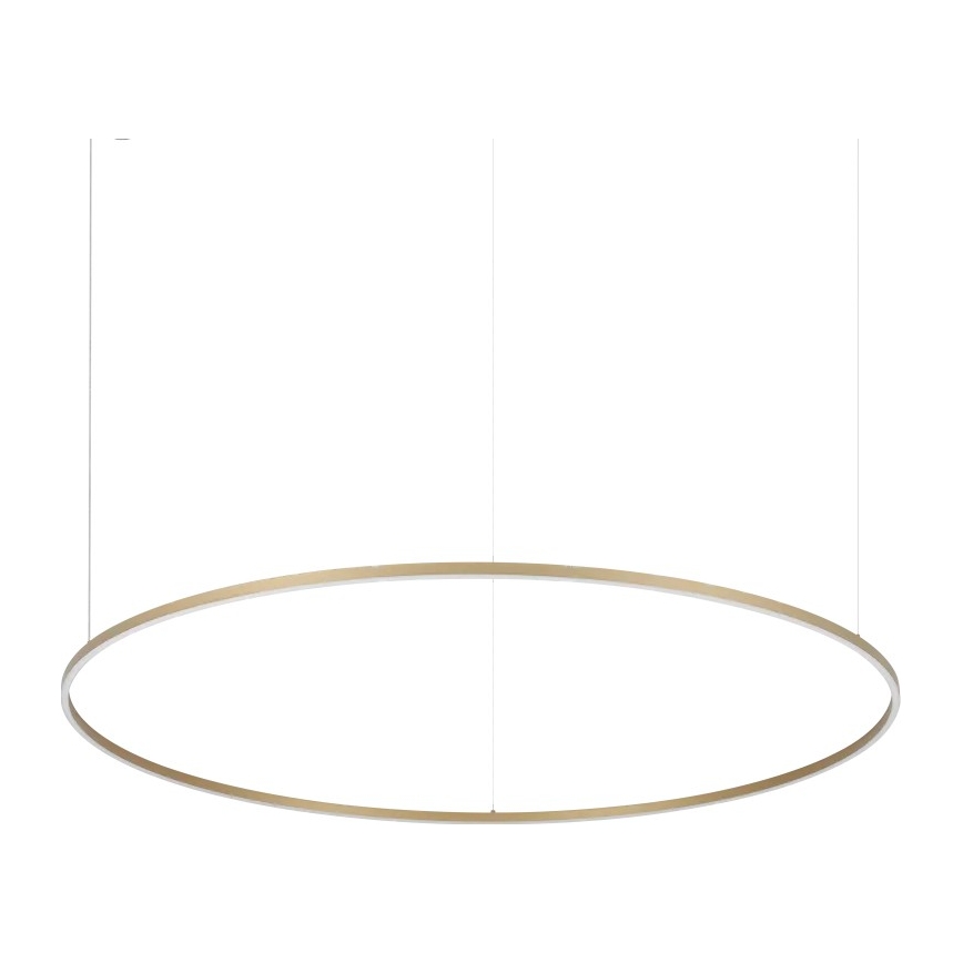 Ideal Lux - LED luster na sajli ORACLE SLIM LED/81W/230V 3000K CRI 90, promjer 150 cm, zlatni