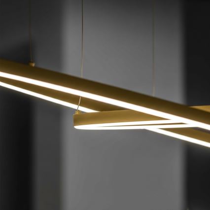 Ideal Lux - LED luster na sajli ORACLE SLIM LED/81W/230V 3000K CRI 90, promjer 150 cm, zlatni