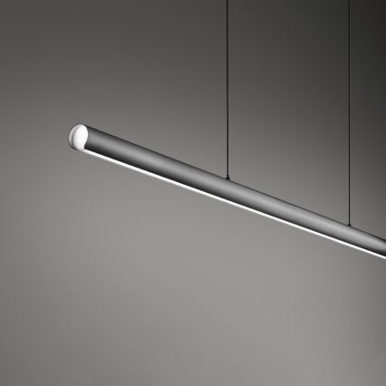Ideal Lux - LED luster na sajli s mogućnošću prigušivanja DORICA LED/35W/230V CRI 90 140 cm siva