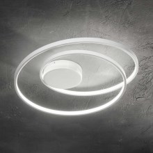 Ideal Lux - LED Nadgradni luster OZ LED/48W/230V bijela