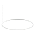 Ideal Lux - LED prigušivač luster na užetu ORACLE SLIM LED/43W/230V 3000K promjer 90 cm bijela