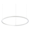 Ideal Lux - LED prigušivač svjetla na užetu ORACLE SLIM LED/40W/230V 4000K promjer 70 cm CRI 90 bijela