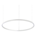Ideal Lux - LED prigušivački luster na užetu ORACLE SLIM LED/39W/230V 3000K promjer 70 cm bijela