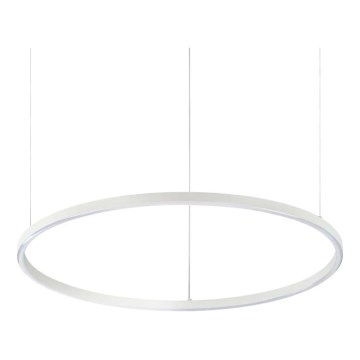 Ideal Lux - LED Prigušivi luster na sajli ORACLE SLIM LED/40W/230V 4000K pr. 70 cm CRI 90 bijela