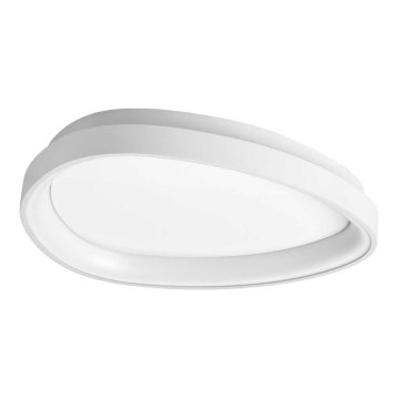 Ideal Lux - LED Stropna svjetiljka GEMINI LED/23W/230V pr. 42,5 cm CRI 90 bijela