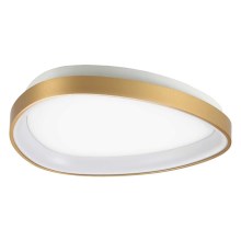 Ideal Lux - LED Stropna svjetiljka GEMINI LED/23W/230V pr. 42,5 cm zlatna