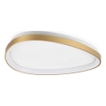 Ideal Lux - LED Stropna svjetiljka GEMINI LED/30W/230V pr. 61 cm CRI 90 zlatna