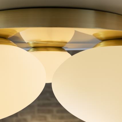 Ideal Lux - LED Stropna svjetiljka NINFEA 3xGX53/9W/230V zlatna