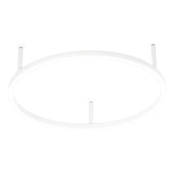 Ideal Lux - LED stropna svjetiljka ORACLE SLIM LED/29W/230V 4000K CRI 90 Ø 50 cm bijela
