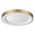 Ideal Lux - LED stropna svjetiljka PLANET LED/25W/230V CRI 90, promjer 50 cm, mesing