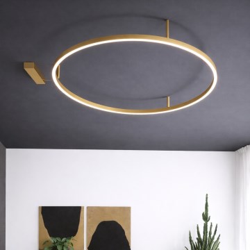 Ideal Lux - LED stropno svjetlo ORACLE SLIM LED/37W/230V 3000K CRI 90 promjer 70 cm zlatno
