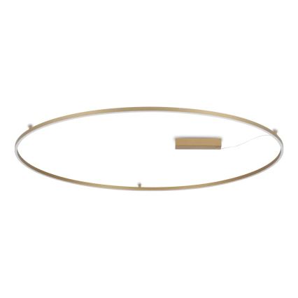 Ideal Lux - LED stropno svjetlo ORACLE SLIM LED/81W/230V 3000K CRI 90 Ø 150 cm zlatno