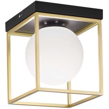 Ideal Lux - Stropna svjetiljka LINGOTTO 1xE14/40W/230V
