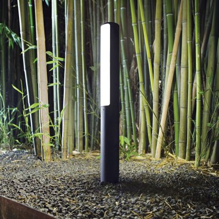Ideal Lux - LED vanjska lampa ETERE, 9,5 W, 230 V, 4000 K, 60 cm, CRI 90, IP44, antracit