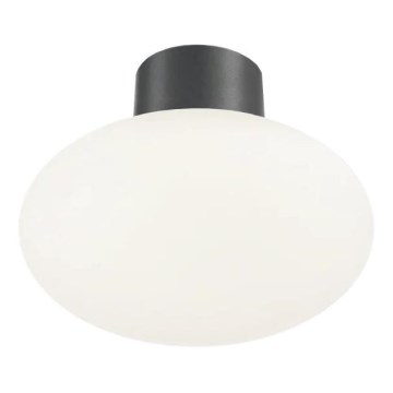 Ideal Lux - Vanjska stropna svjetiljka CLIO 1xE27/42W/230V IP44 antracit