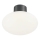 Ideal Lux - Vanjska stropna svjetiljka CLIO 1xE27/42W/230V IP44 antracit