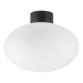 Ideal Lux - Vanjska stropna svjetiljka CLIO 1xE27/42W/230V IP44 crna