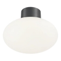 Ideal Lux - Vanjsko stropno svjetlo CLIO 1xE27/42W/230V IP44 antracit