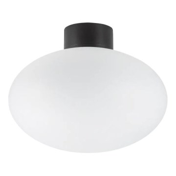 Ideal Lux - Vanjsko stropno svjetlo CLIO 1xE27/42W/230V IP44 crna