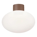 Ideal Lux - Vanjsko stropno svjetlo CLIO 1xE27/42W/230V IP44 smeđa