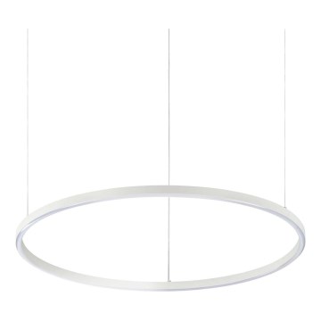 Ideal Lux - Viseći LED luster na sajli ORACLE SLIM LED/37W/230V 3000K CRI 90 Ø 70 cm bijela