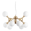 Ideal Lux - Viseći luster na sajli NODI 9xE14/28W/230V Ø 80 cm mesing/bijela