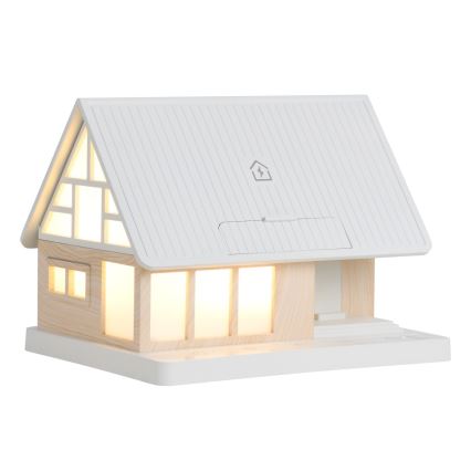 LED stolna lampa s bežičnim punjenjem DREAM HOME LED/2W/230V